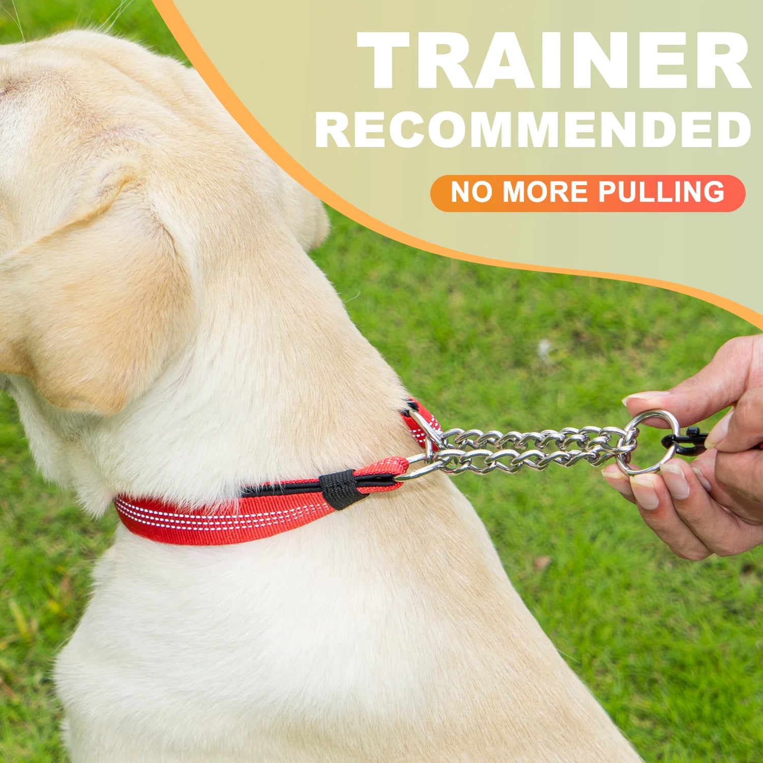 Dog Collar with Air Tag Holder, Reflective Soft Padded No Pull Training Collars Adjustable Stainless Steel Chain Collar