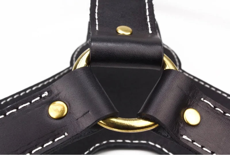Real Leather Large Dog Harness Vest Walking Training big Dog Harnesses Adjustable Strap for German Shepherd Labrador Husky Dogs