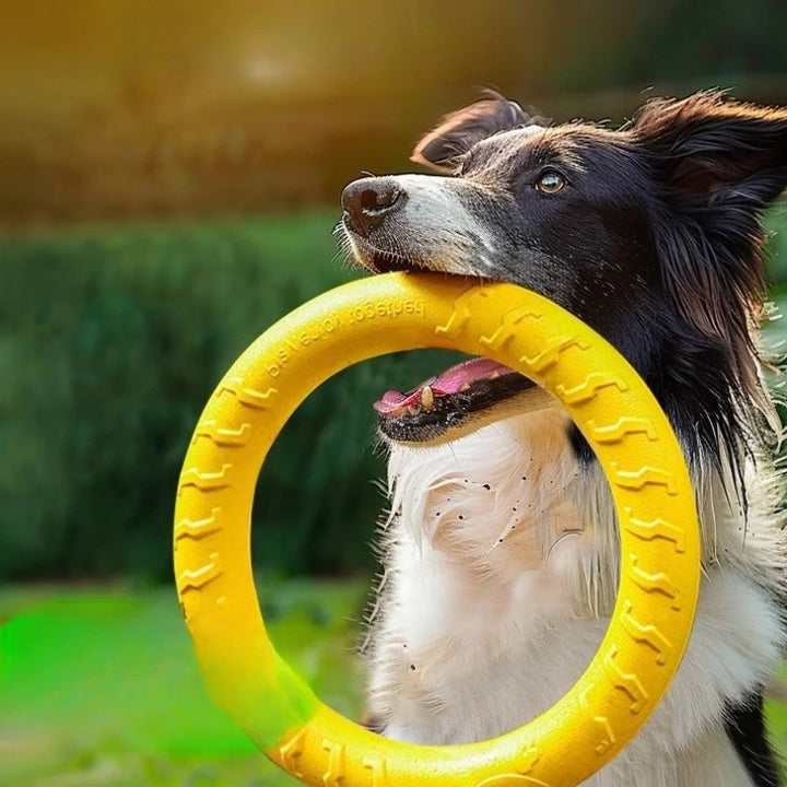 Dog Ring Toys Indestructible Chewing Flying Floating Training Tools Fetch for Small Medium Large Dogs Throwing Catching Flying