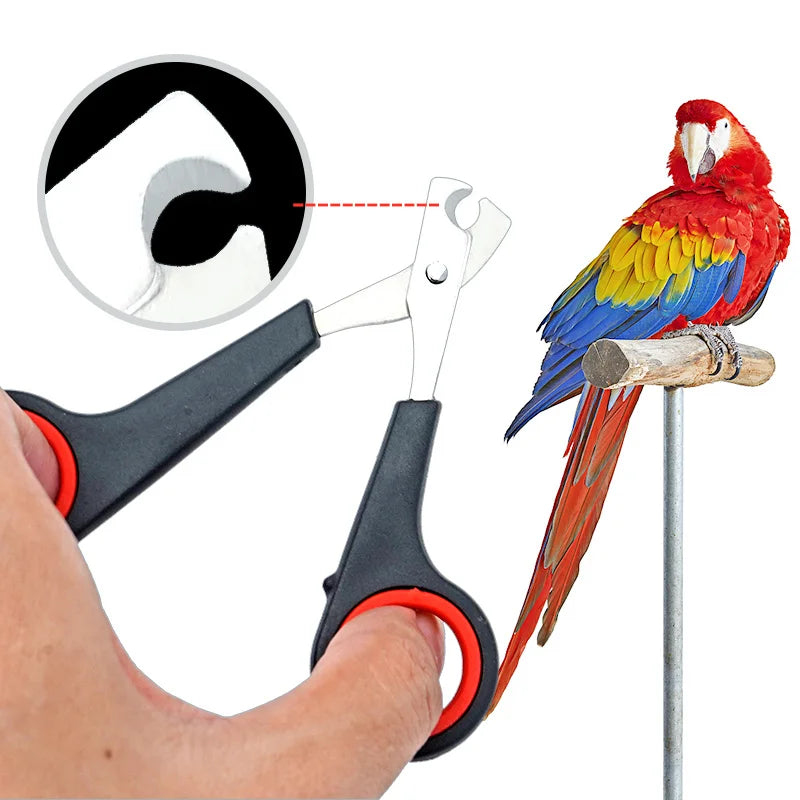 5Pcs Pet Nail Clippers for Dogs Cats Birds Parrot Guinea Pig Claw Trimmer Scissors Shear