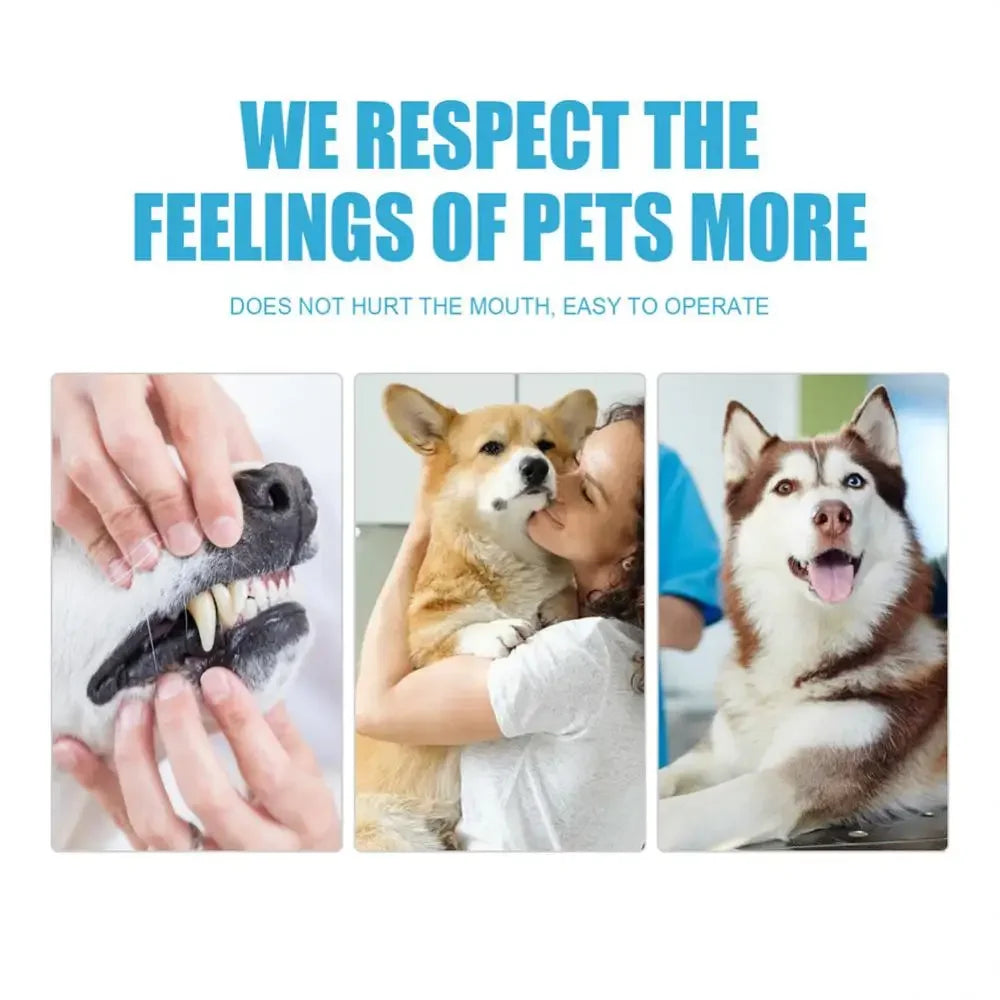 Pet Toothpaste for Dogs & Cats, Edible Oral Care, Fresh Breath, Tartar & Plaque Removal, Teeth Cleaning Pet Products