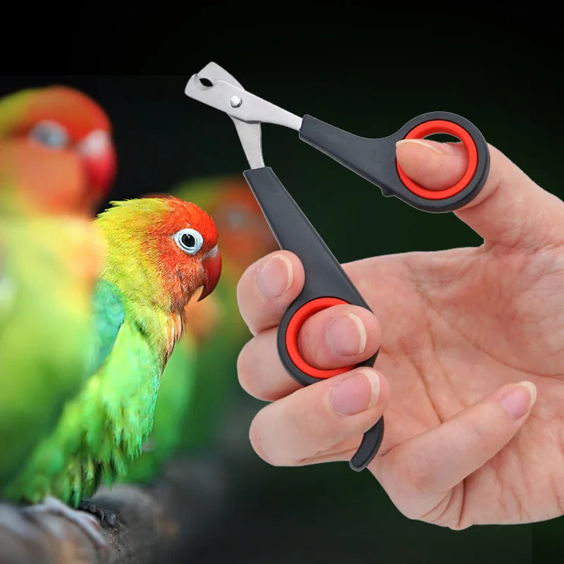 5Pcs Pet Nail Clippers for Dogs Cats Birds Parrot Guinea Pig Claw Trimmer Scissors Shear