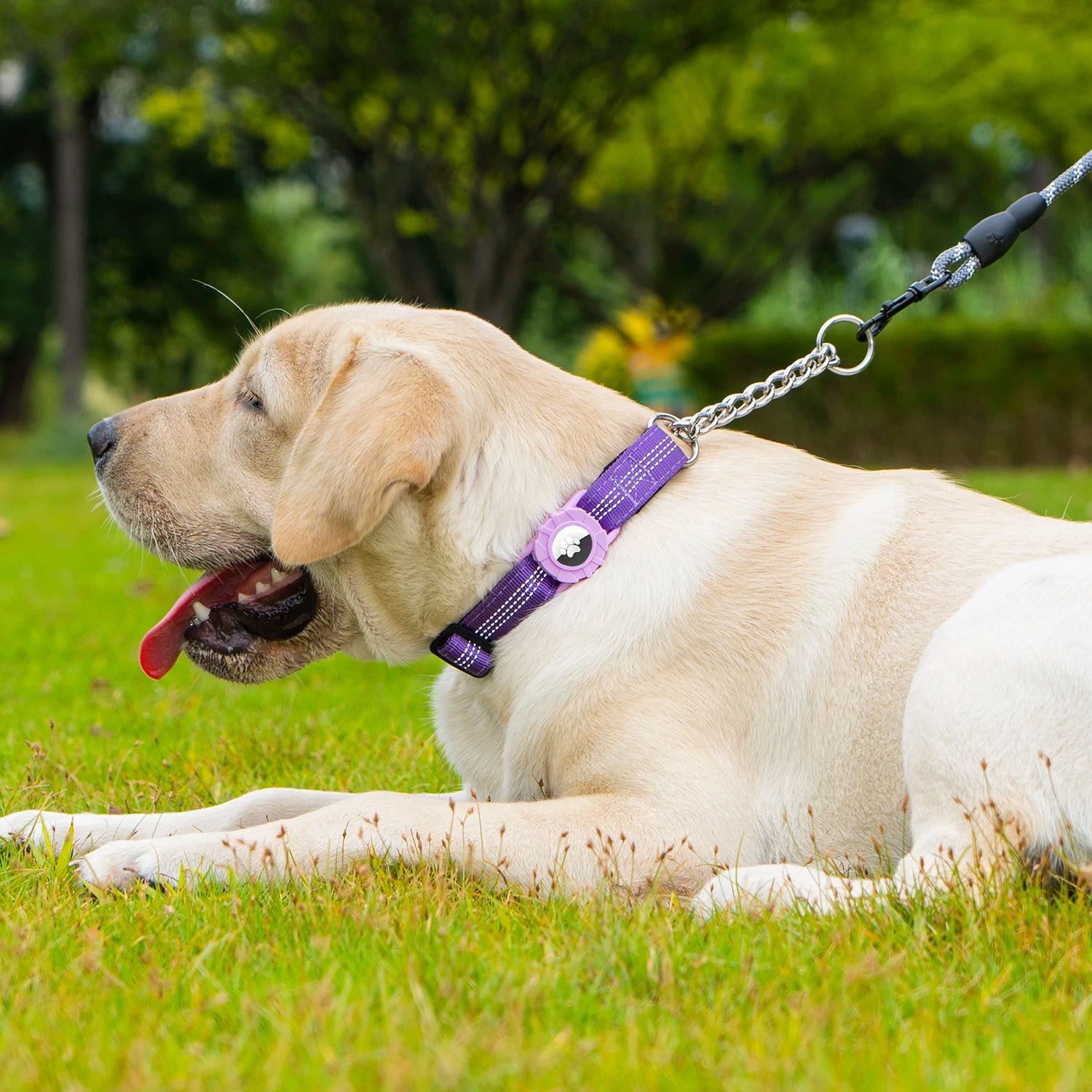 Dog Collar with Air Tag Holder, Reflective Soft Padded No Pull Training Collars Adjustable Stainless Steel Chain Collar