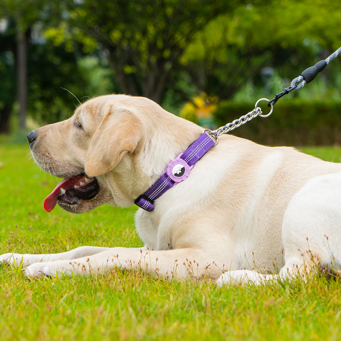 Dog Collar with Air Tag Holder, Reflective Soft Padded No Pull Training Collars Adjustable Stainless Steel Chain Collar