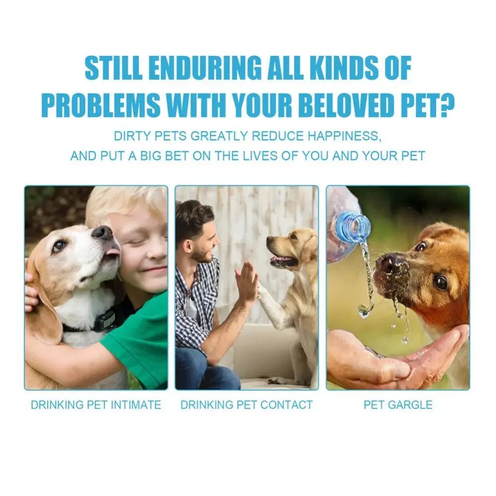 Pet Toothpaste for Dogs & Cats, Edible Oral Care, Fresh Breath, Tartar & Plaque Removal, Teeth Cleaning Pet Products