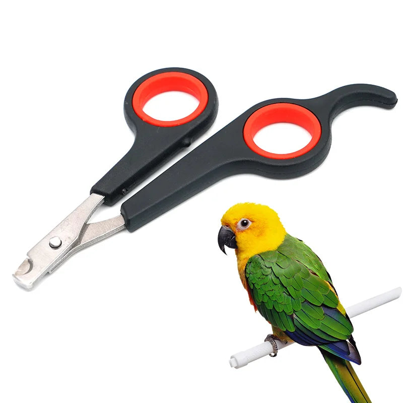 5Pcs Pet Nail Clippers for Dogs Cats Birds Parrot Guinea Pig Claw Trimmer Scissors Shear