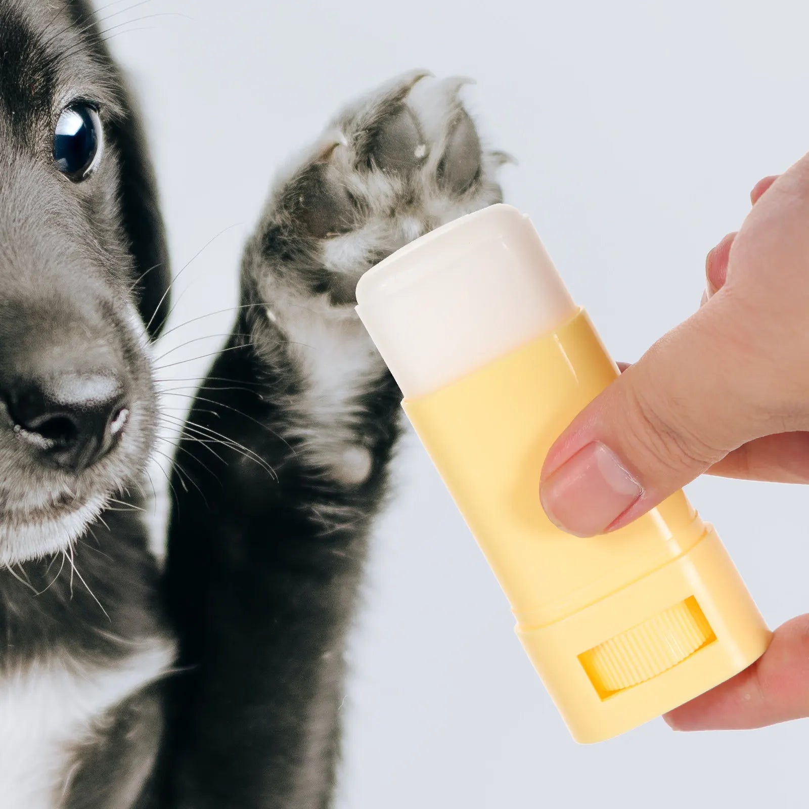 Dog Paw Balm Professional Pet Paw Cream for Cracked Paws Nose Mouth Portable Moisturizer for Dogs Cats Dog Foot Moisturizer
