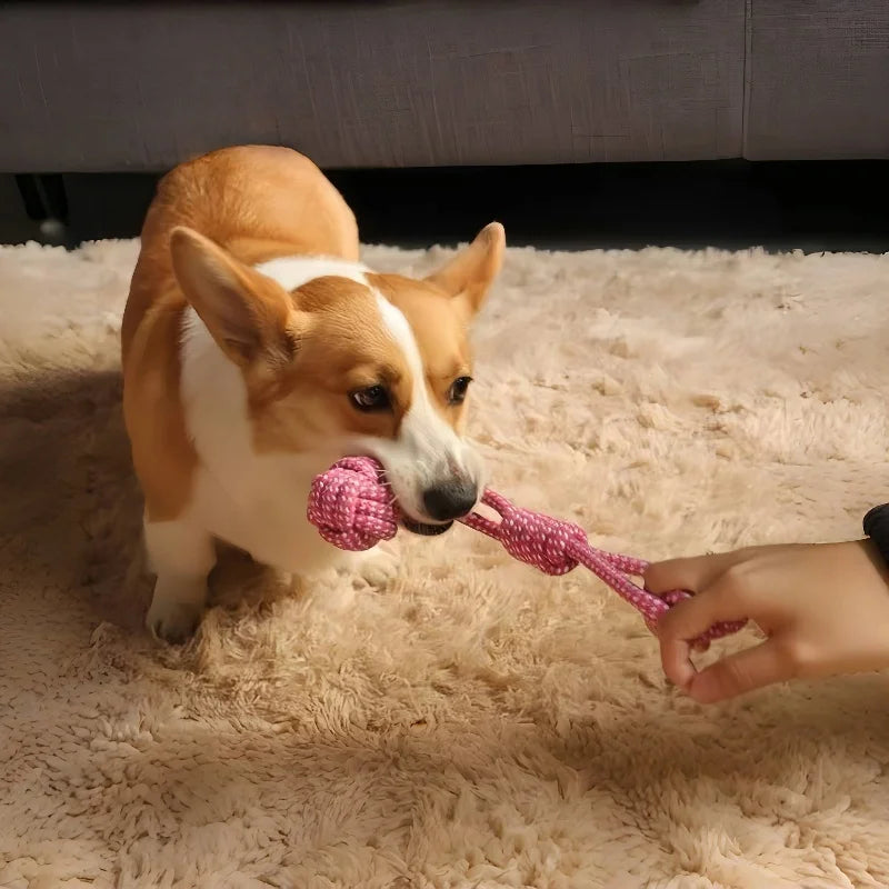 Pet Dog Toys for Large Small Dogs Toy Interactive Cotton Rope Mini Dog Toys Ball for Dogs Accessories Toothbrush Chew Puppy Toy