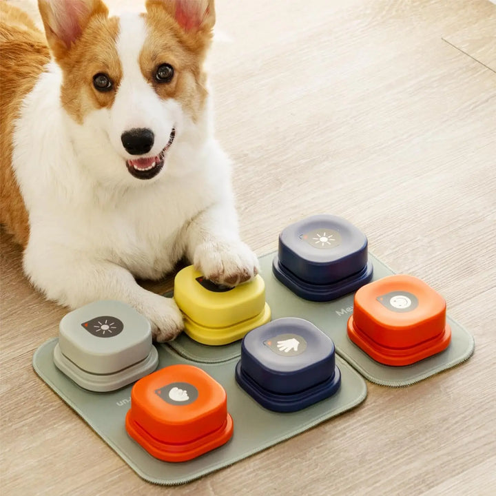 Dog Toys
