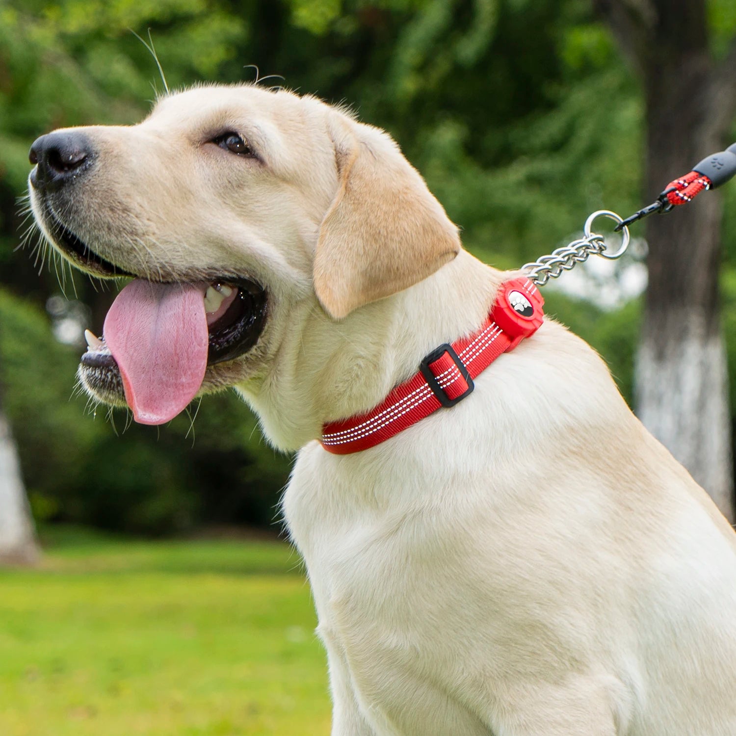 Dog Collar with Air Tag Holder, Reflective Soft Padded No Pull Training Collars Adjustable Stainless Steel Chain Collar
