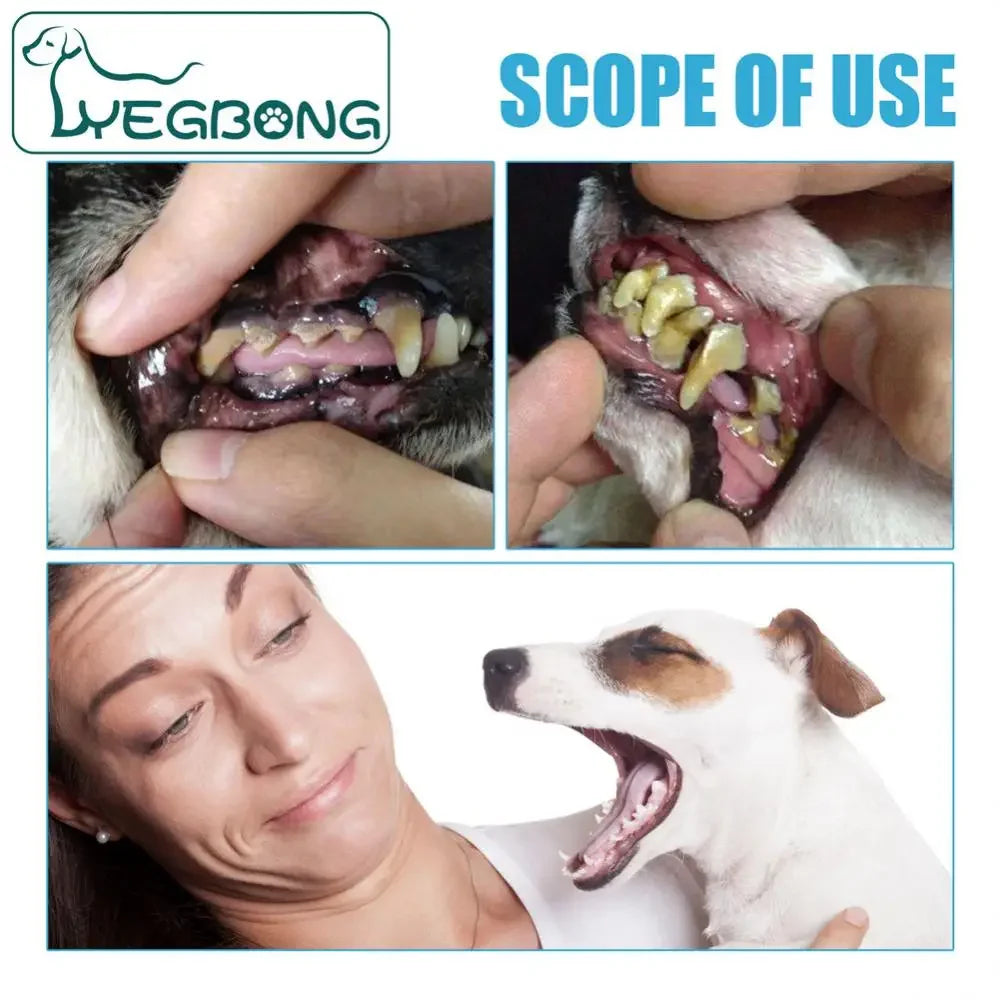 Pet Toothpaste for Dogs & Cats, Edible Oral Care, Fresh Breath, Tartar & Plaque Removal, Teeth Cleaning Pet Products