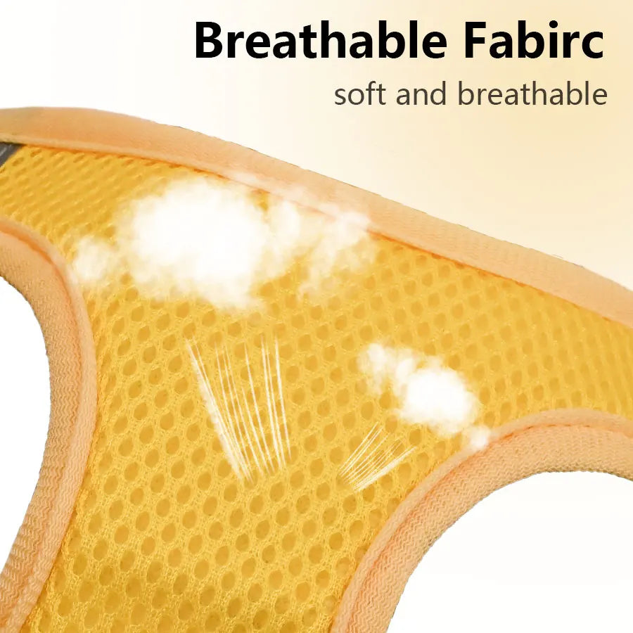 DH009Cartoon-Dog harness and leash set features a breathable honeycomb mesh design to prevent overheating and sweating.