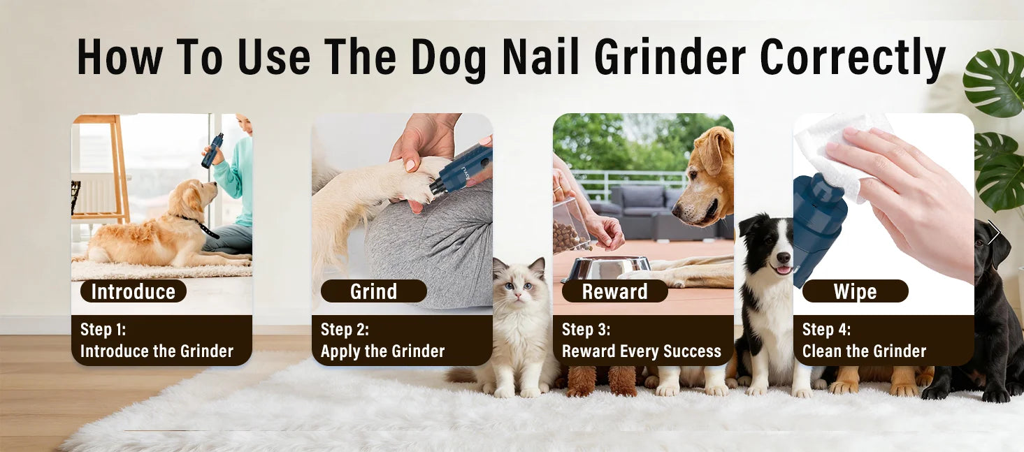 2-Speed Dog Nail Grinder with Dual LED Lights – Enhanced Super Quiet Rechargeable Electric Trimmer for Painless Paws Grooming
