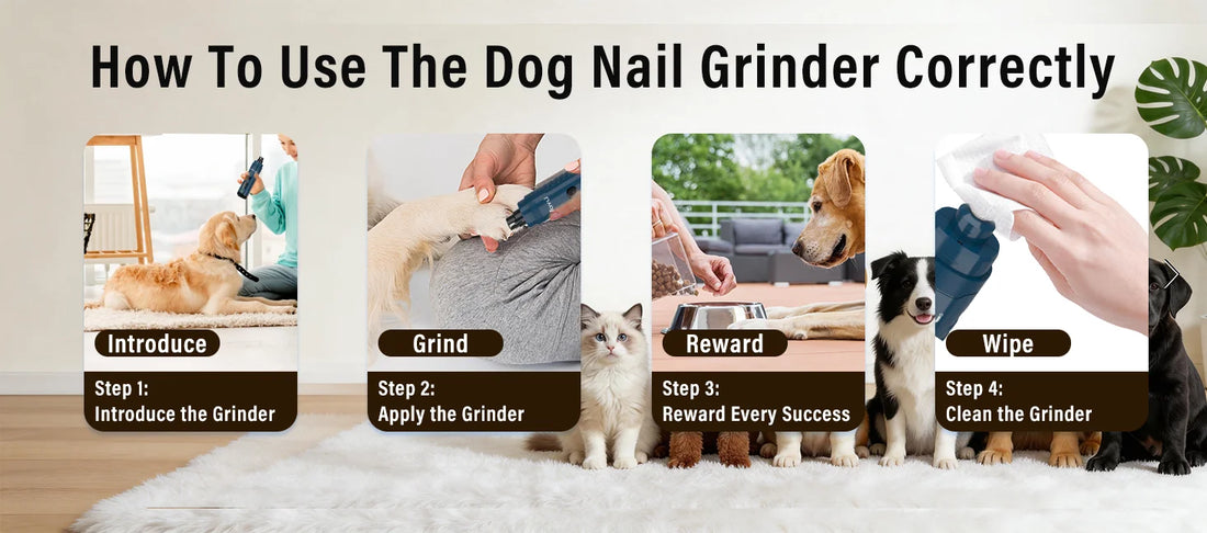 2-Speed Dog Nail Grinder with Dual LED Lights – Enhanced Super Quiet Rechargeable Electric Trimmer for Painless Paws Grooming