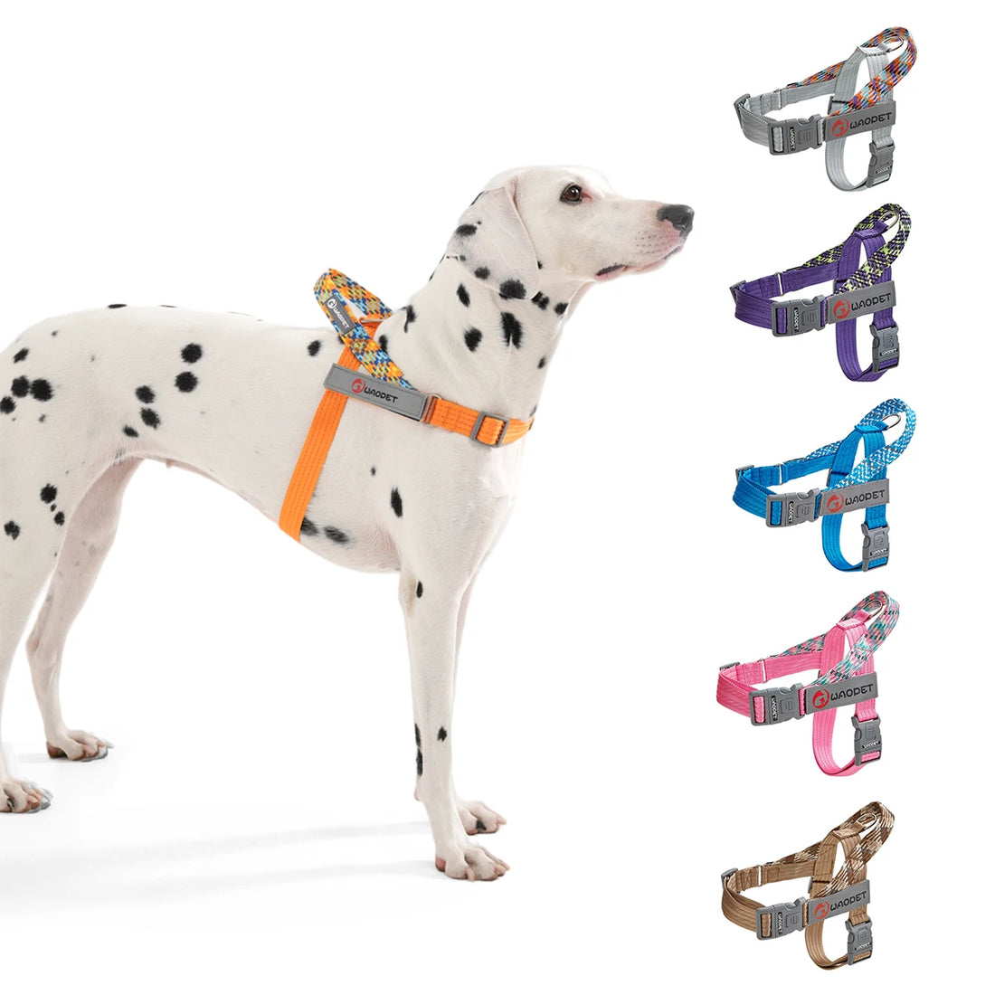 Walking Dog Harnesses For Heavy Medium Large Dogs Creative Design Flat Rope Durable Nylon Dog Rope No Pull Harness Pet Supplies