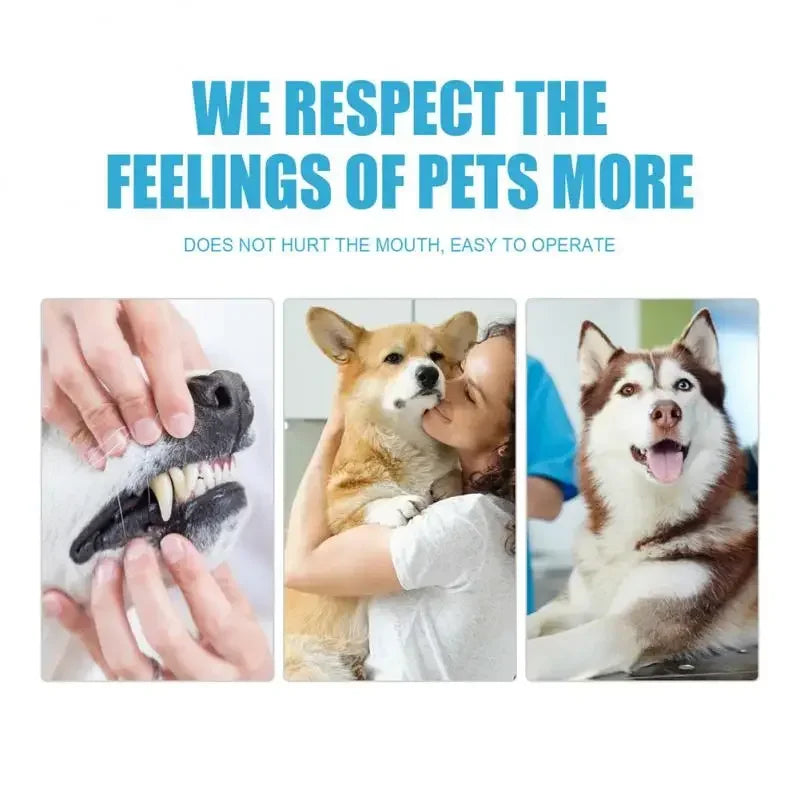 Pet Toothpaste for Dogs & Cats, Edible Oral Care, Fresh Breath, Tartar & Plaque Removal, Teeth Cleaning Pet Products