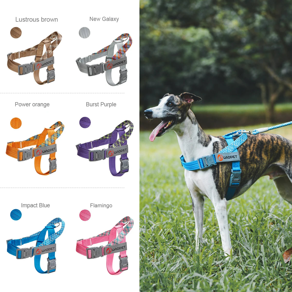 Walking Dog Harnesses For Heavy Medium Large Dogs Creative Design Flat Rope Durable Nylon Dog Rope No Pull Harness Pet Supplies