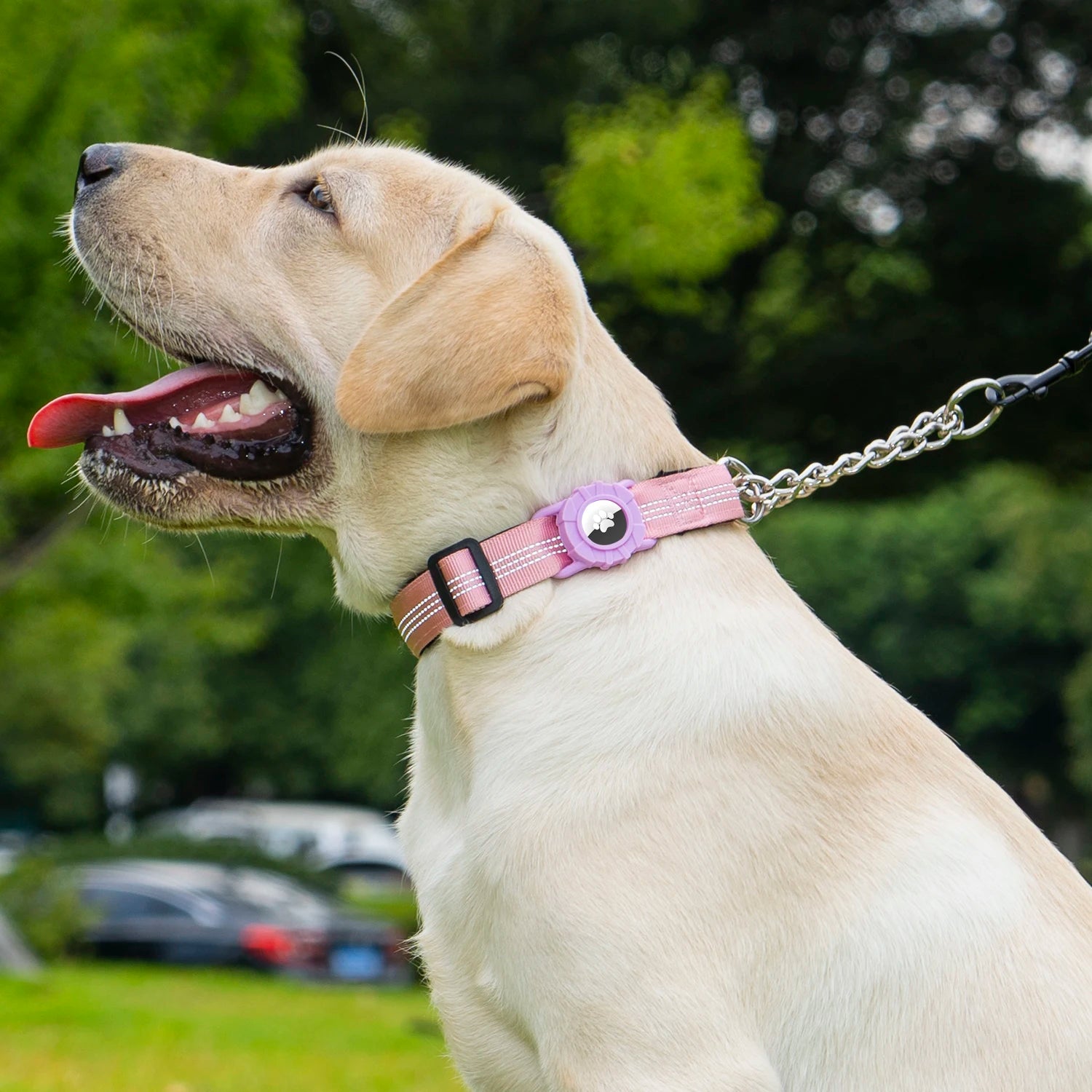 Dog Collar with Air Tag Holder, Reflective Soft Padded No Pull Training Collars Adjustable Stainless Steel Chain Collar
