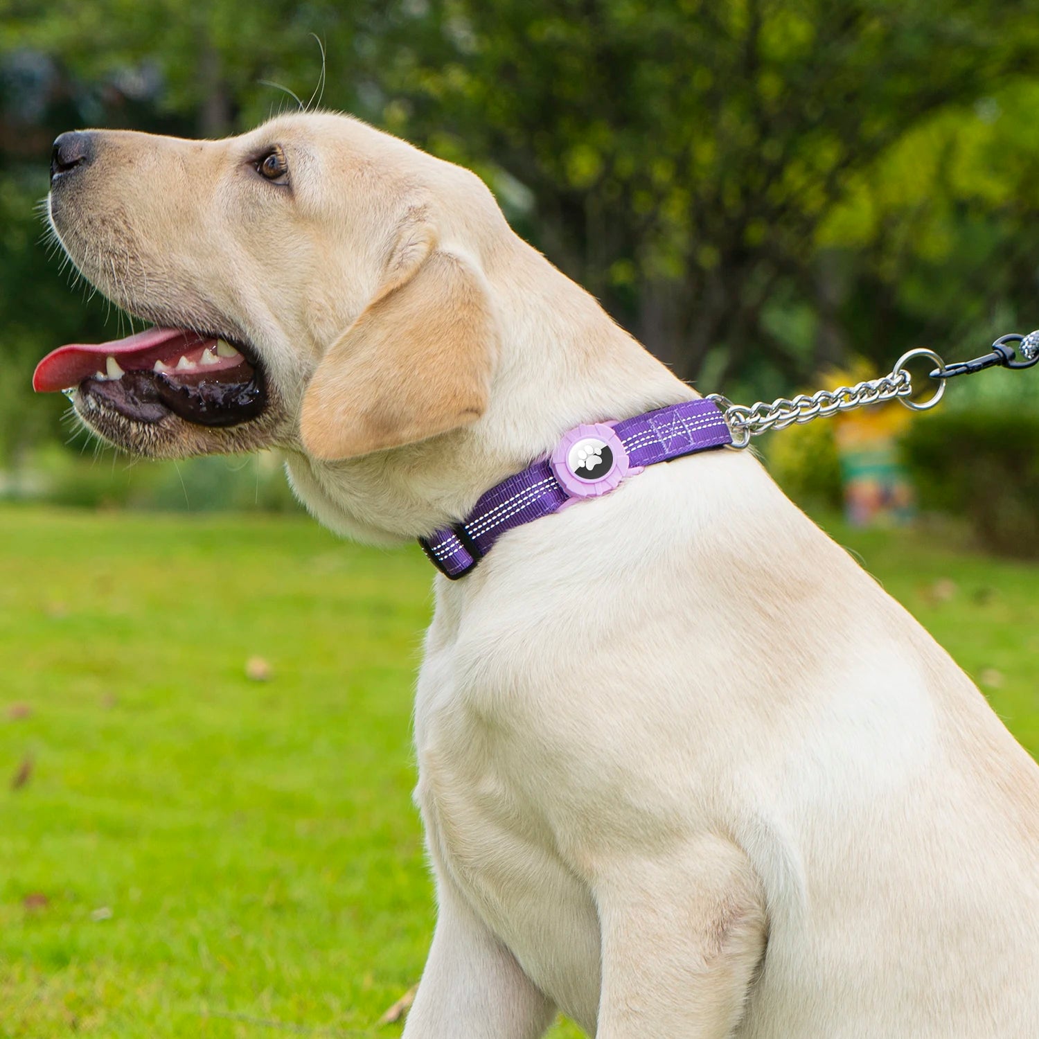 Dog Collar with Air Tag Holder, Reflective Soft Padded No Pull Training Collars Adjustable Stainless Steel Chain Collar