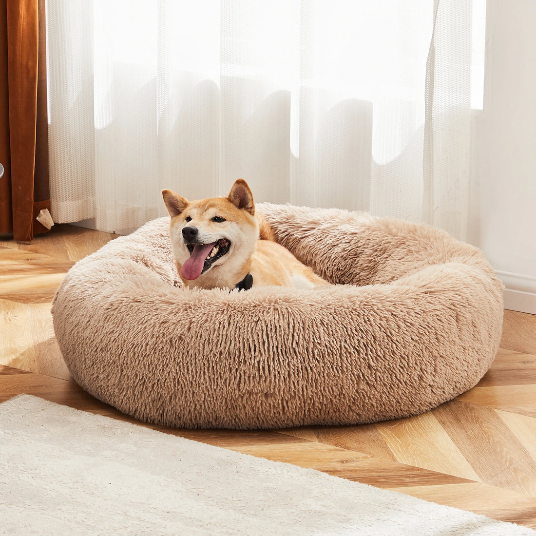 A tan Shiba Inu dog lies contentedly inside a round, fluffy beige pet bed on a light wood herringbone floor in front of sheer white curtains.