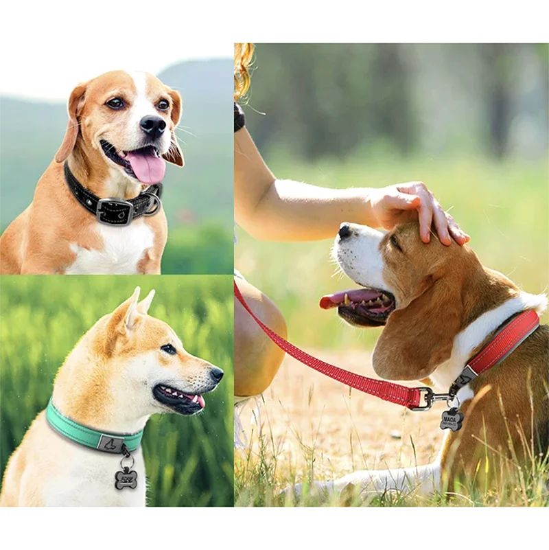 Padded Dog Collars for Small Medium Large Dogs Soft Reflective Wide Pet Collars Adjustable Heavy Duty Nylon Neoprene Dog Collar