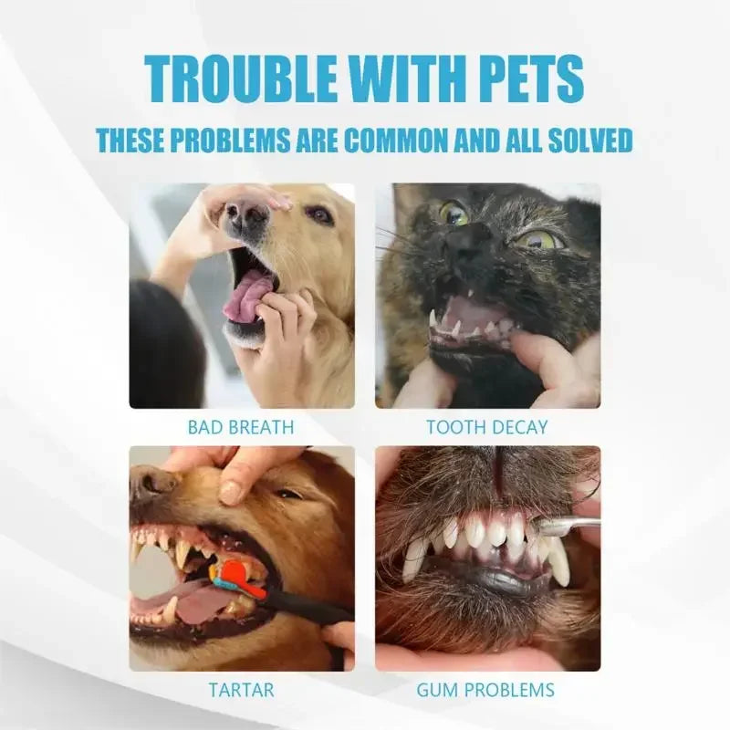 Pet Toothpaste for Dogs & Cats, Edible Oral Care, Fresh Breath, Tartar & Plaque Removal, Teeth Cleaning Pet Products