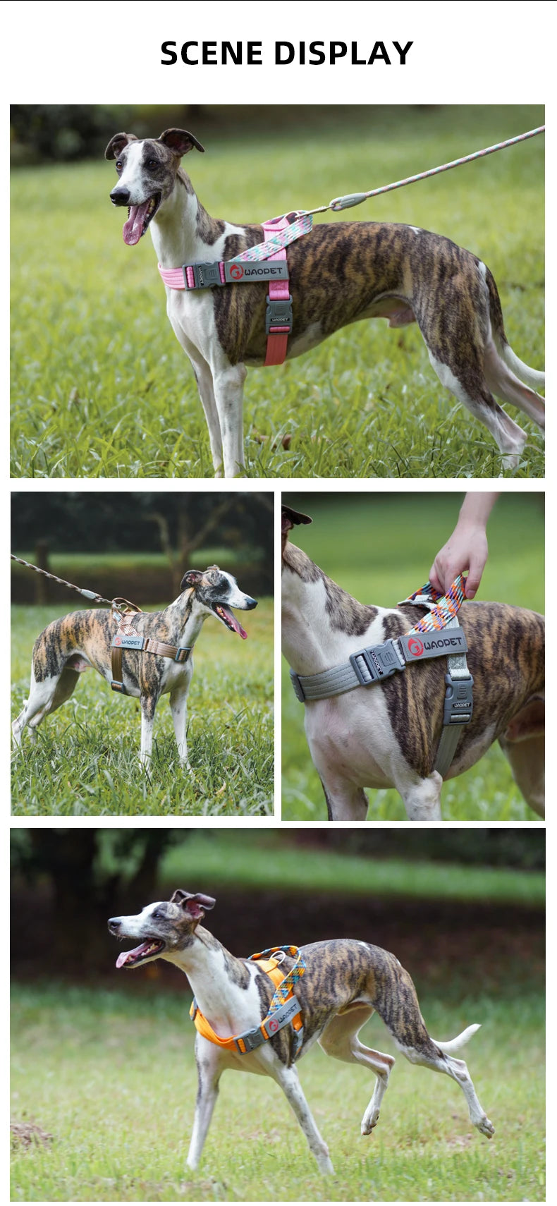 Walking Dog Harnesses For Heavy Medium Large Dogs Creative Design Flat Rope Durable Nylon Dog Rope No Pull Harness Pet Supplies