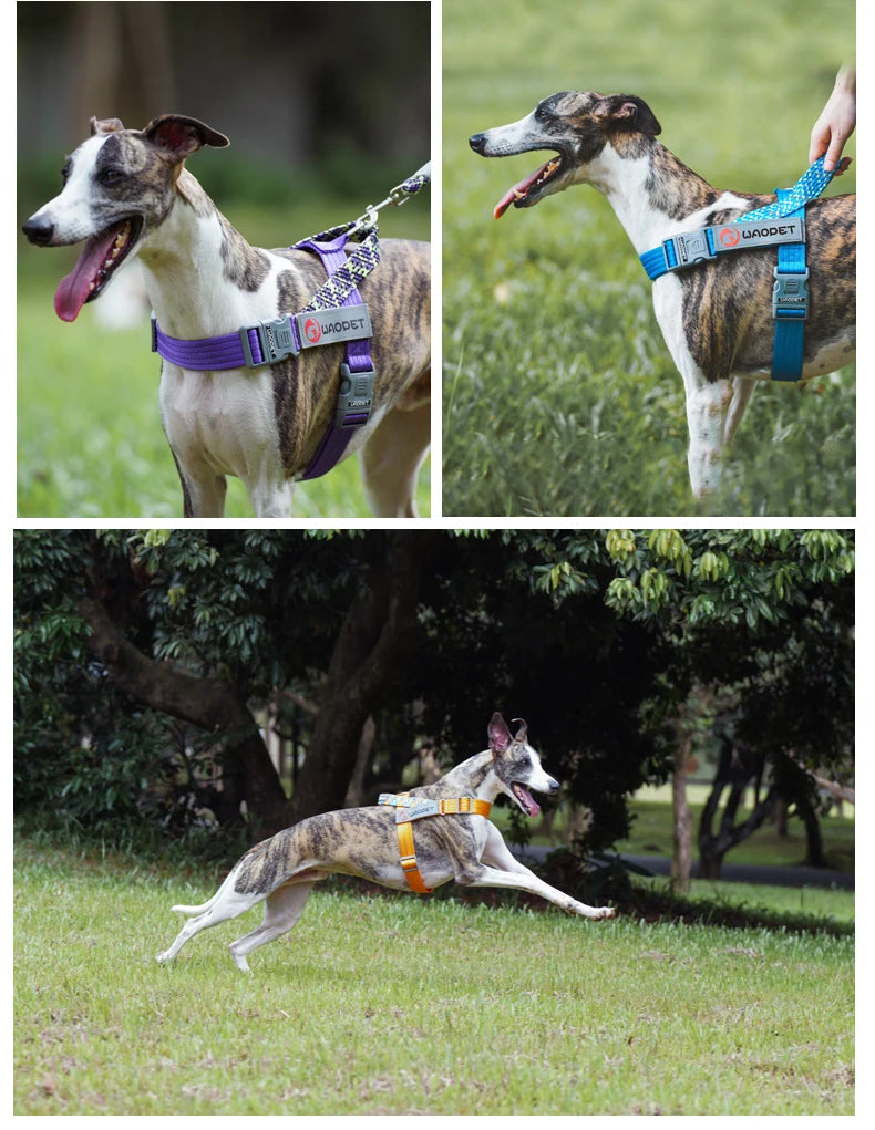 Walking Dog Harnesses For Heavy Medium Large Dogs Creative Design Flat Rope Durable Nylon Dog Rope No Pull Harness Pet Supplies