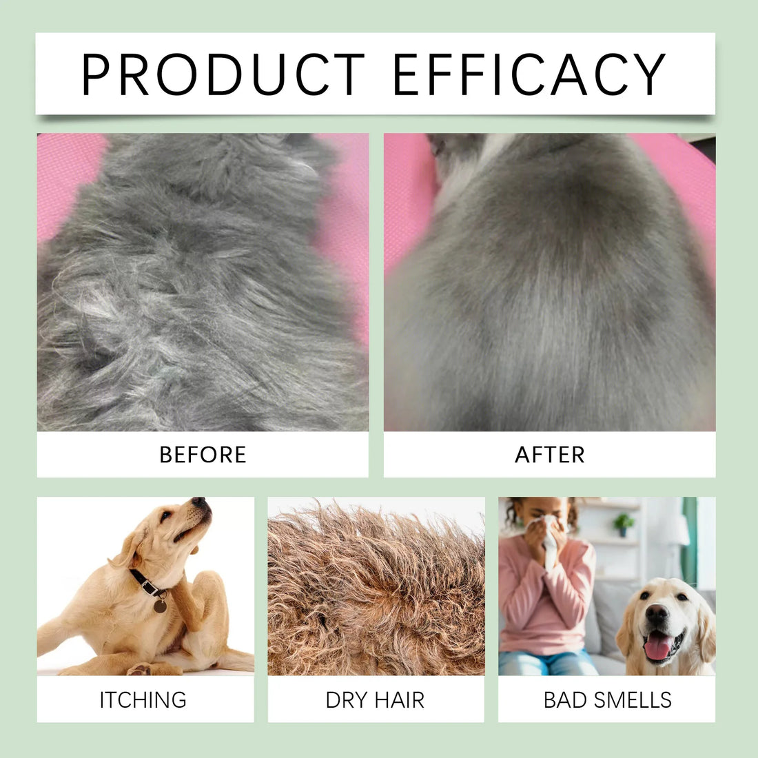 Coconut Scent Dog Shampoo Cleansing Moisturizing Pet Deodorizing with Long-Lasting Fragrance Soft Smooth Shiny Coat GroomingCare