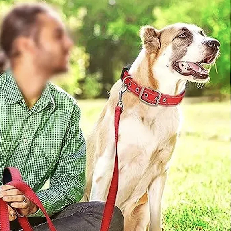 Padded Dog Collars for Small Medium Large Dogs Soft Reflective Wide Pet Collars Adjustable Heavy Duty Nylon Neoprene Dog Collar