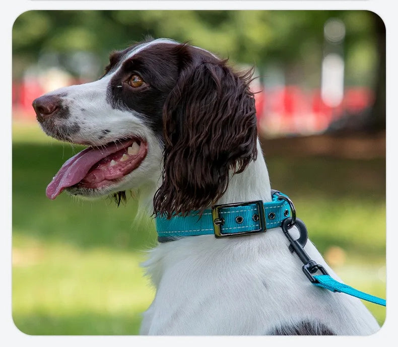 Padded Dog Collars for Small Medium Large Dogs Soft Reflective Wide Pet Collars Adjustable Heavy Duty Nylon Neoprene Dog Collar