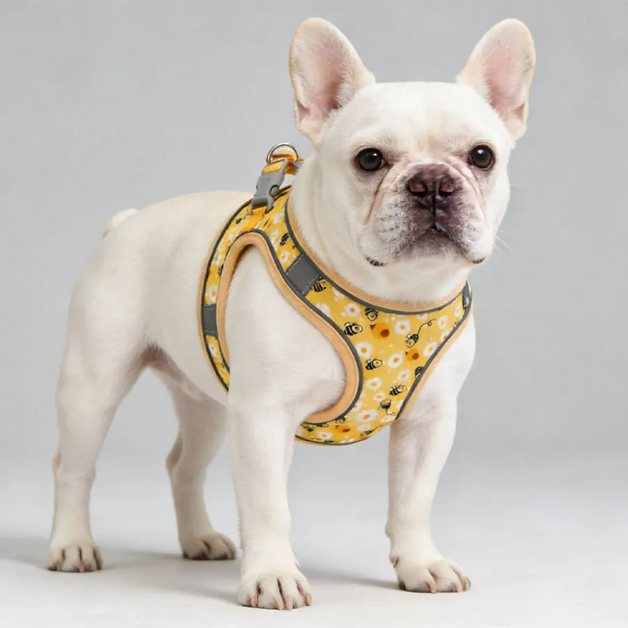 DH009Cartoon-Dog harness and leash set features a breathable honeycomb mesh design to prevent overheating and sweating.