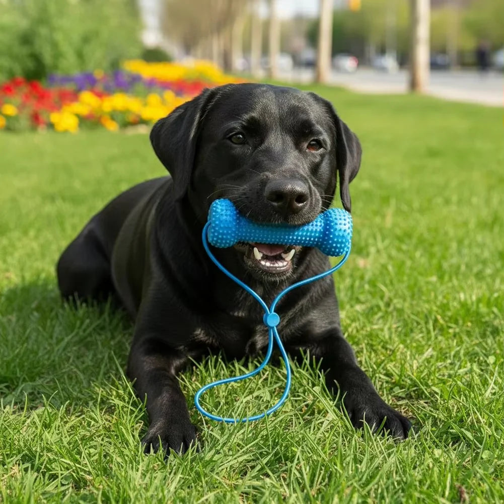 Durable Dog Tug Toy With Rope Handle Rubber Bone Chew Toy Teeth Cleaning Grinding Stick Interactive Fetch Training Toy For Mediu