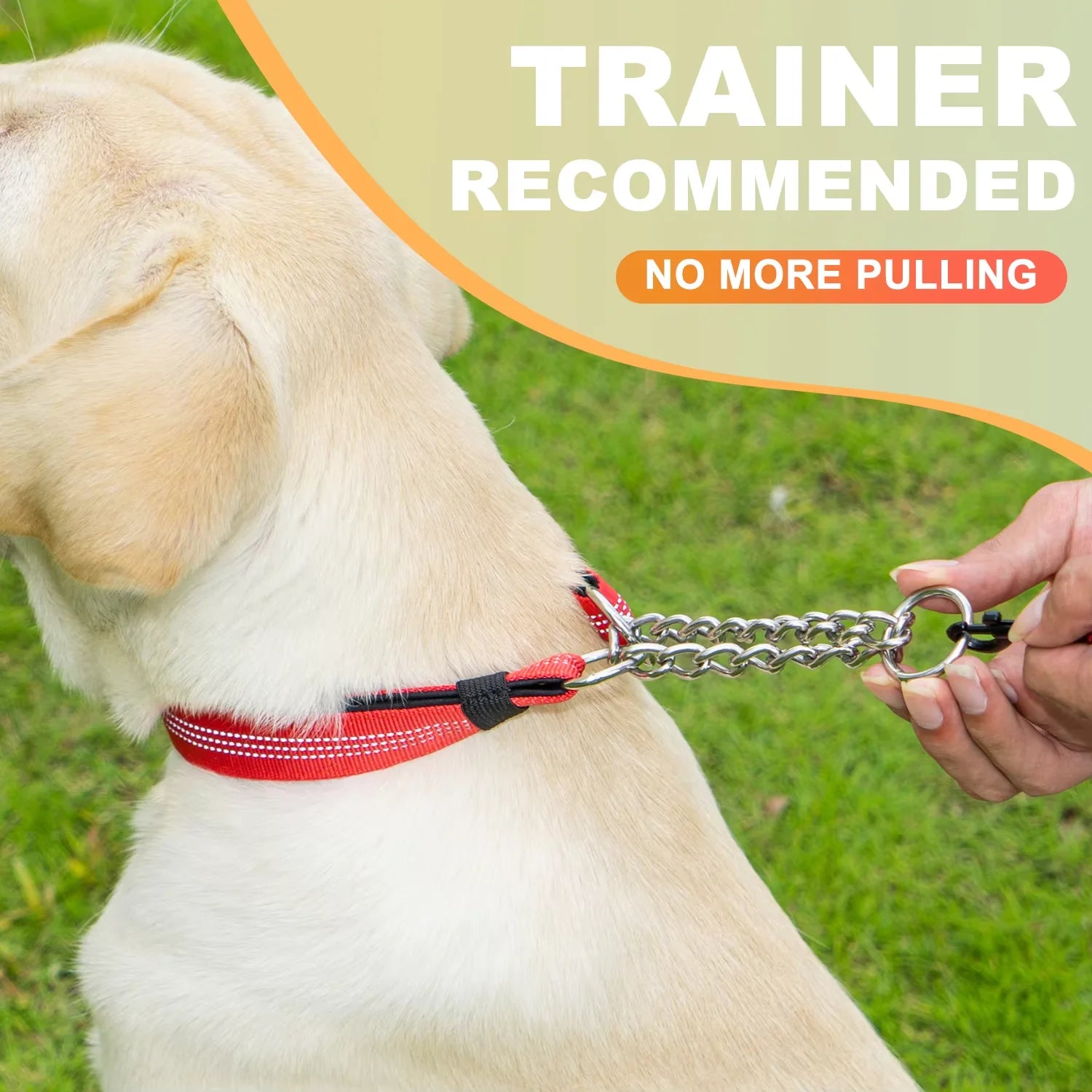 Dog Collar with Air Tag Holder, Reflective Soft Padded No Pull Training Collars Adjustable Stainless Steel Chain Collar