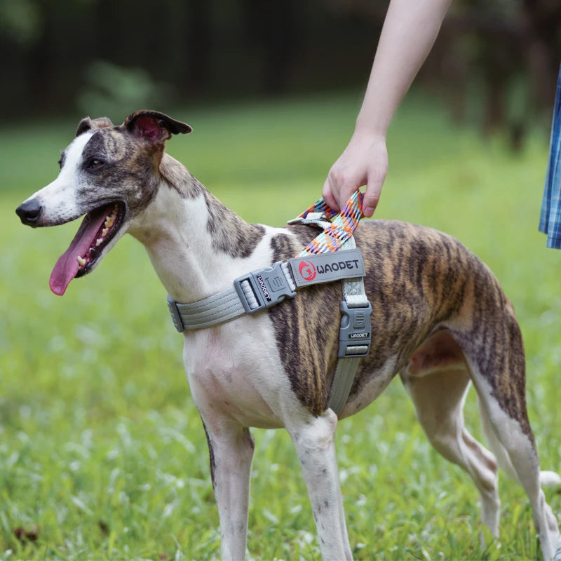 Walking Dog Harnesses For Heavy Medium Large Dogs Creative Design Flat Rope Durable Nylon Dog Rope No Pull Harness Pet Supplies