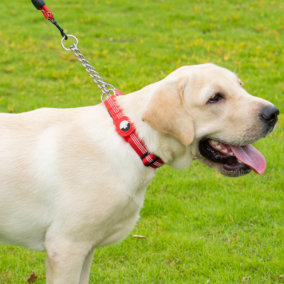 Dog Collar with Air Tag Holder, Reflective Soft Padded No Pull Training Collars Adjustable Stainless Steel Chain Collar