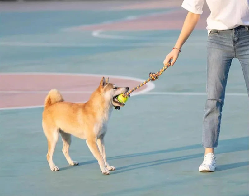 Pet Dog Toys for Large Small Dogs Toy Interactive Cotton Rope Mini Dog Toys Ball for Dogs Accessories Toothbrush Chew Puppy Toy