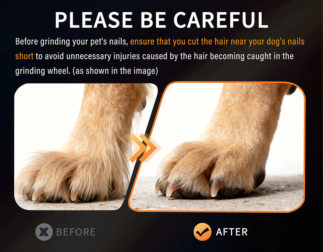 2-Speed Dog Nail Grinder with Dual LED Lights – Enhanced Super Quiet Rechargeable Electric Trimmer for Painless Paws Grooming
