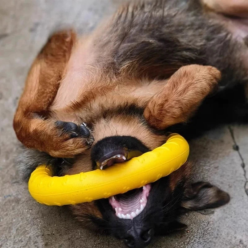 Dog Ring Toys Indestructible Chewing Flying Floating Training Tools Fetch for Small Medium Large Dogs Throwing Catching Flying