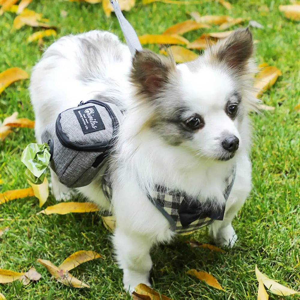 Pet Dog Treat Pouch Portable Multifunction Dog Training Bag Outdoor Travel Dog Poop Bag Dispenser Durable Pet Accessories