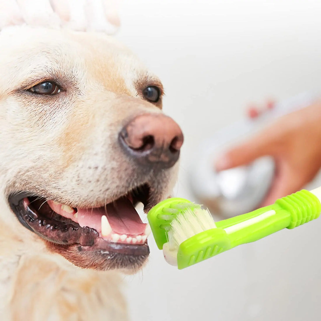 3-Sided Pet  Dog Toothbrush Plastic Toothbrush Removing Bad Breath Tartar Cleaning Mouth Pet Dental Care Cat Cleaning Mouth New