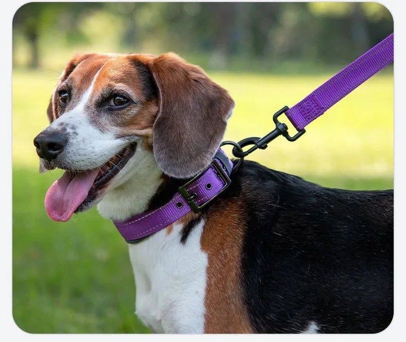 Padded Dog Collars for Small Medium Large Dogs Soft Reflective Wide Pet Collars Adjustable Heavy Duty Nylon Neoprene Dog Collar