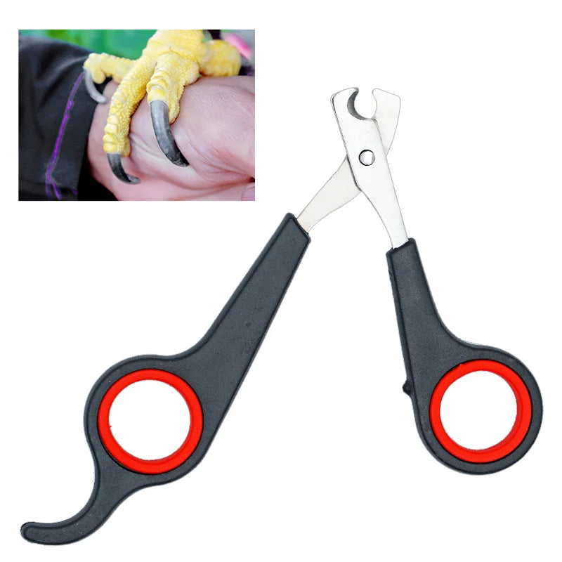 5Pcs Pet Nail Clippers for Dogs Cats Birds Parrot Guinea Pig Claw Trimmer Scissors Shear