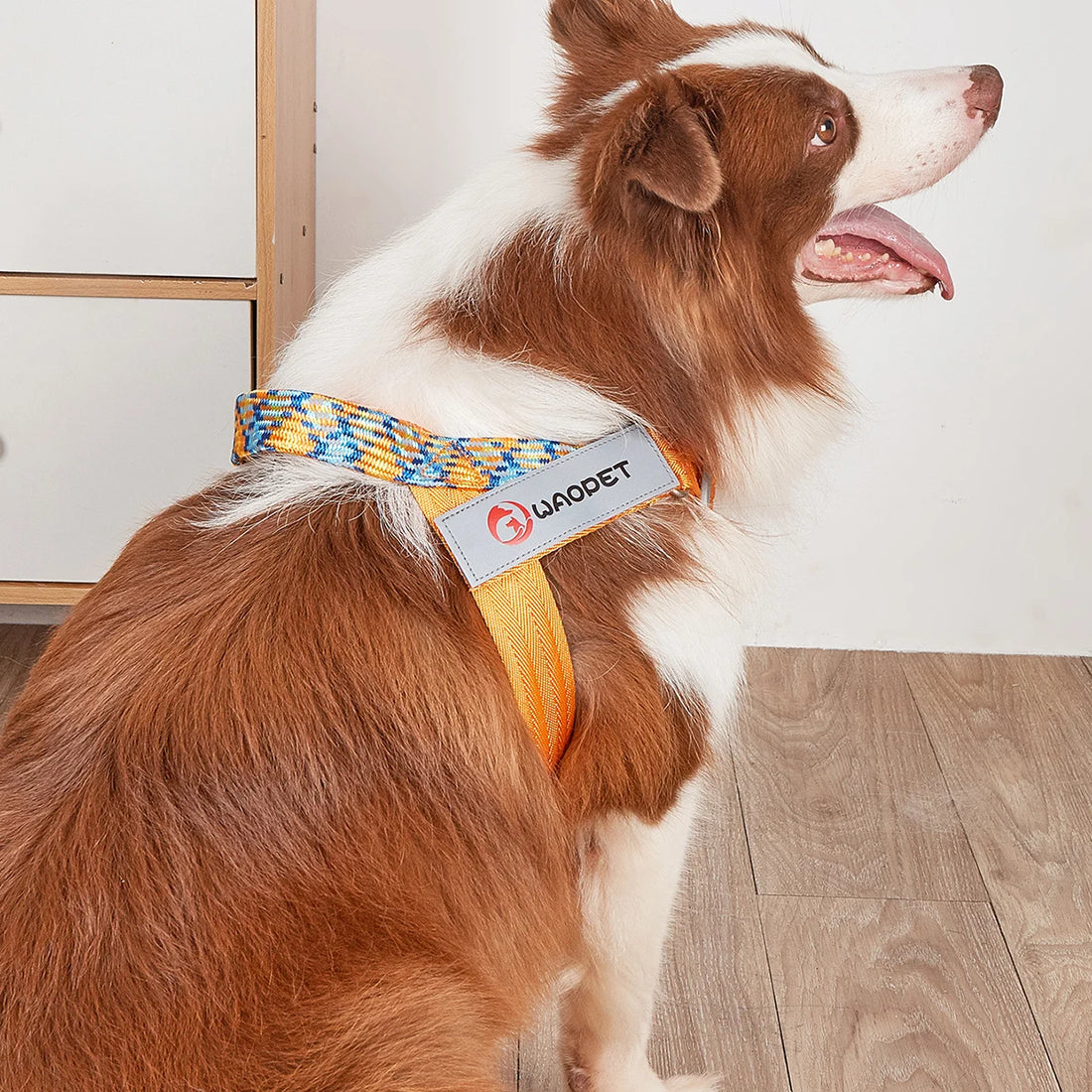 Walking Dog Harnesses For Heavy Medium Large Dogs Creative Design Flat Rope Durable Nylon Dog Rope No Pull Harness Pet Supplies