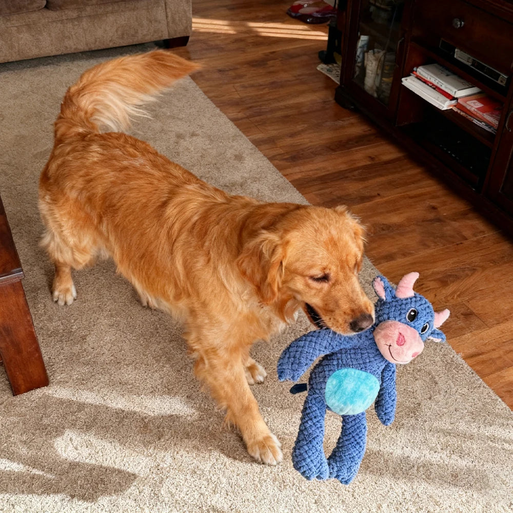 Durable Interactive Plush Dog Toy Soft Large Companion Toy for Small Medium Large Dogs