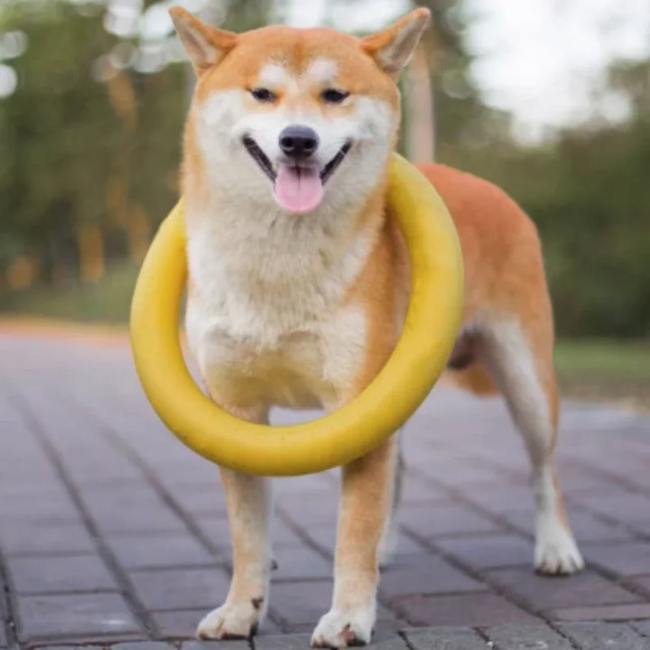 Dog Ring Toys Indestructible Chewing Flying Floating Training Tools Fetch for Small Medium Large Dogs Throwing Catching Flying