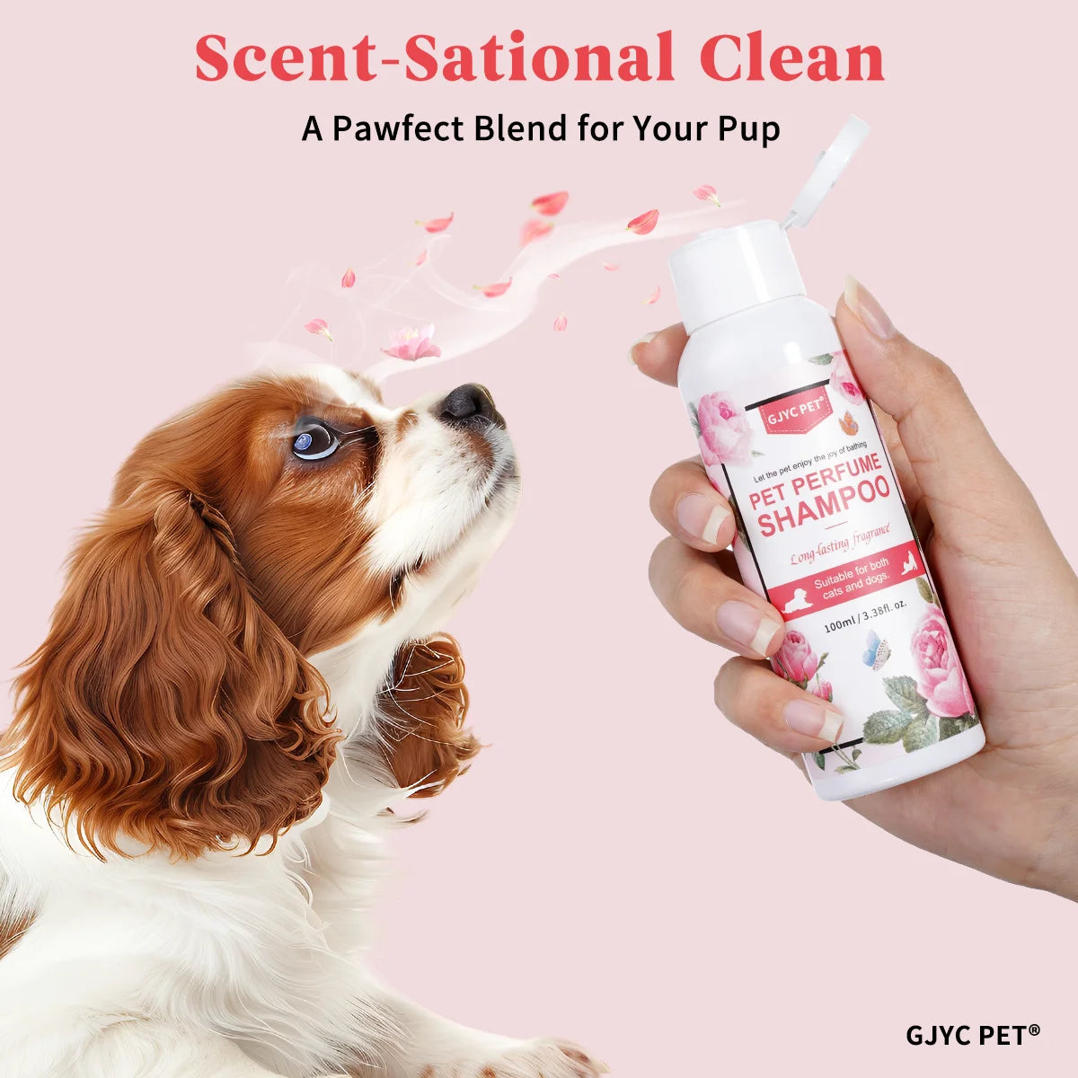 Perfumed Pet Shampoo for Dogs Cats | Natural Long Lasting Fragrance Odor Control PH Balanced for Sensitive Skin Daily Grooming